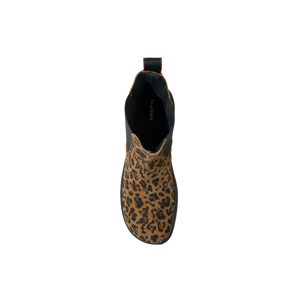 BLSN-300W leo