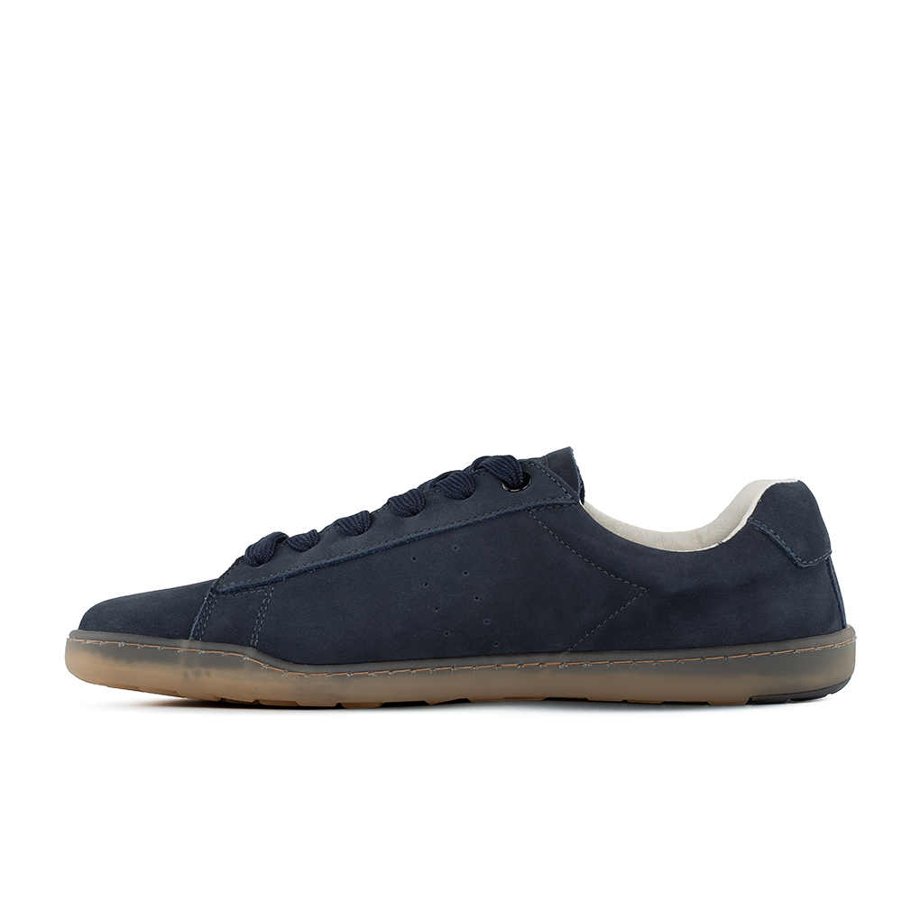 48 - BLSN-100-Blue-box-links-web.jpg