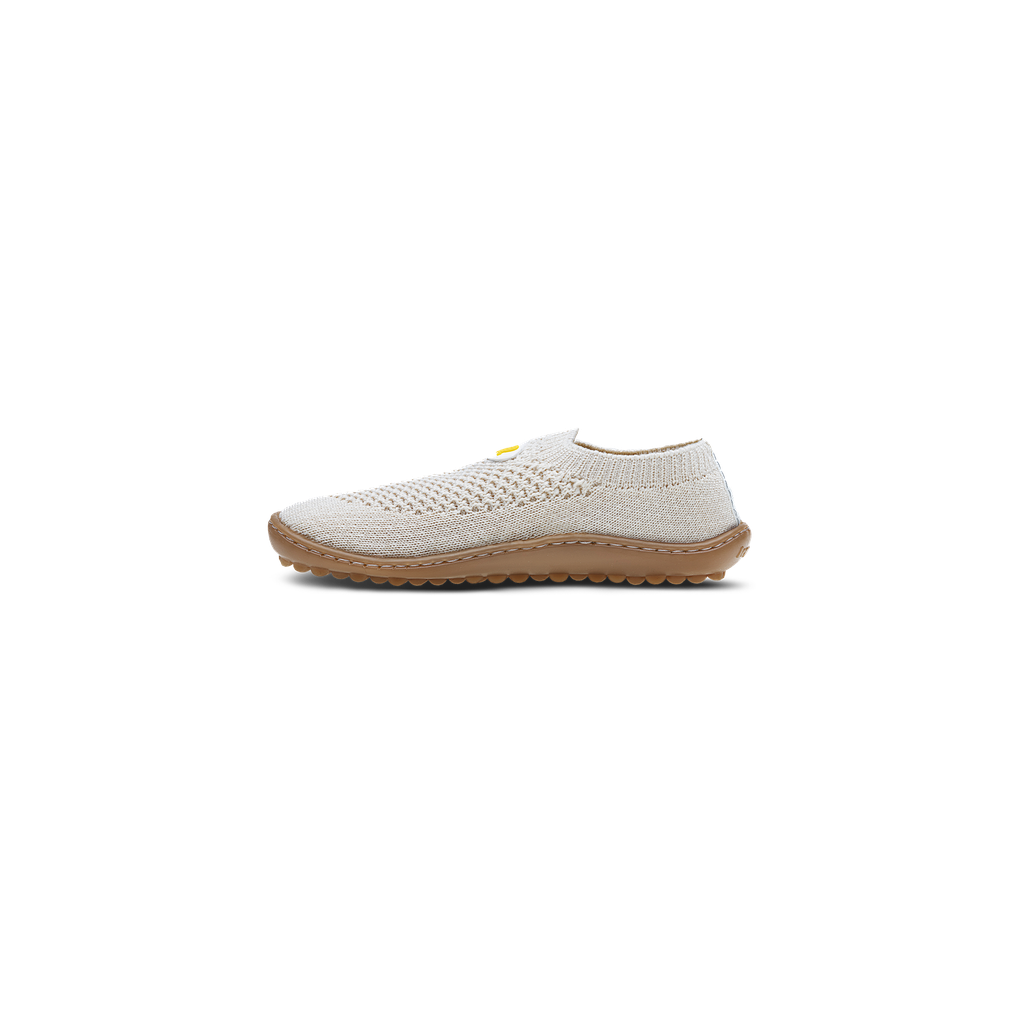 Leguanito scio sand