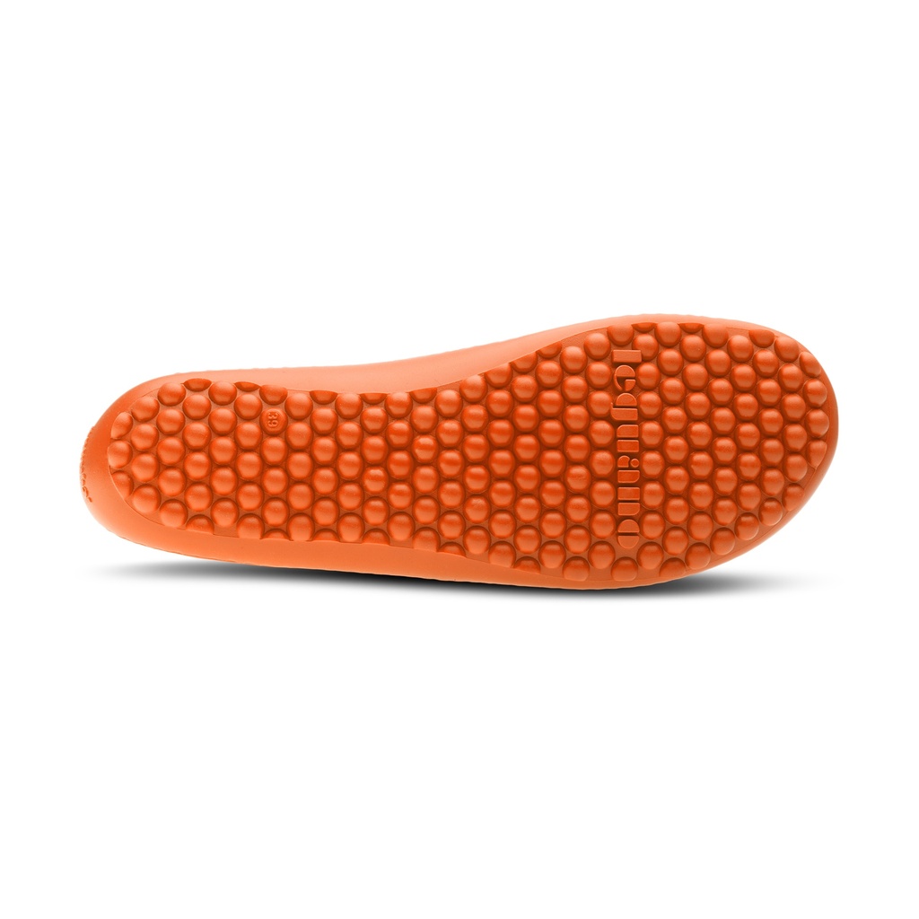 leguano_flair_orange_08.jpg