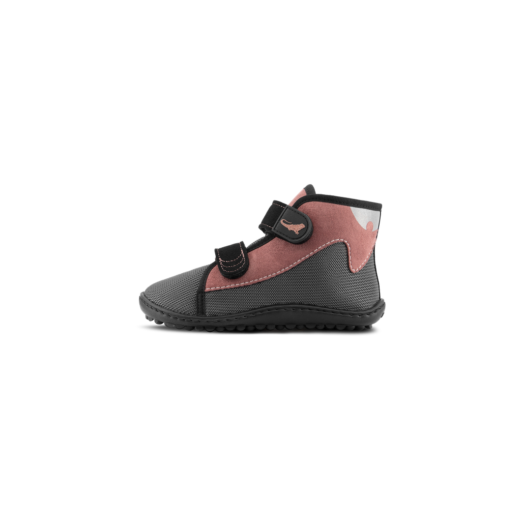 leguanito_scippo rose_Klett_05.png