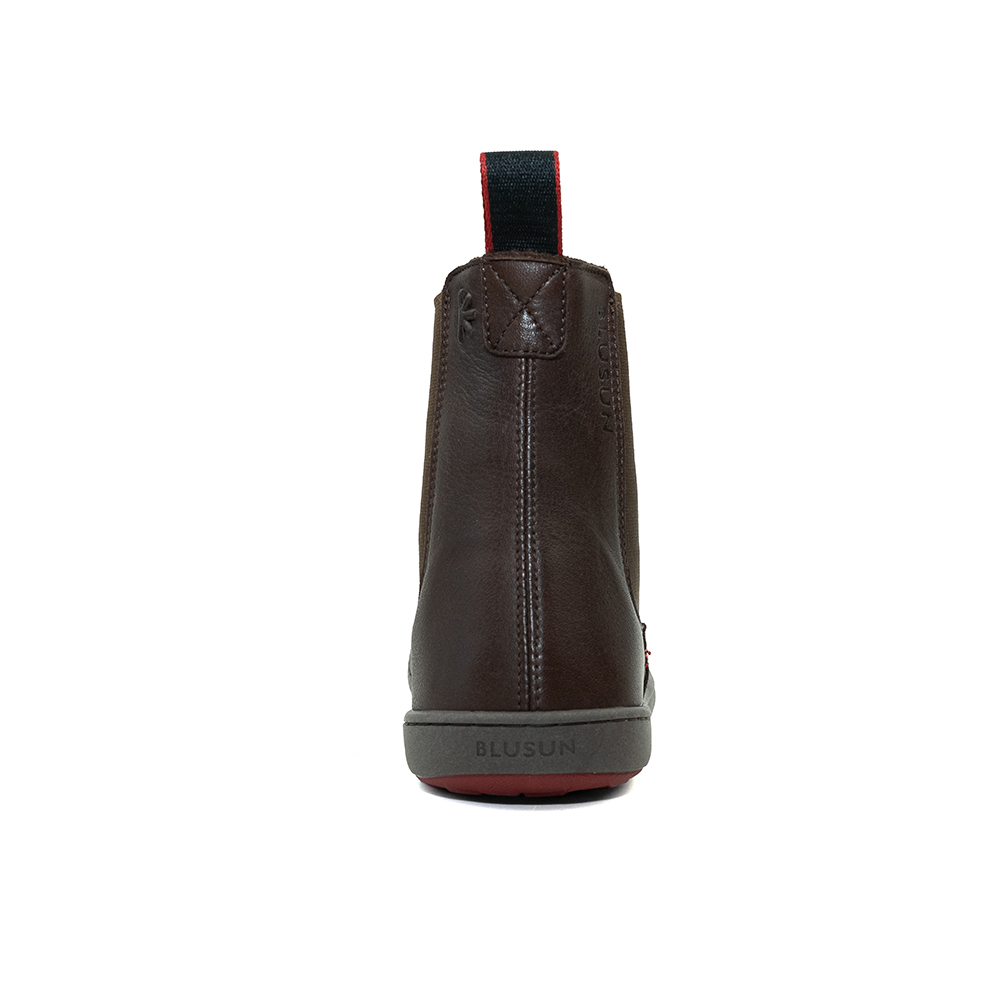 BLUSUN-300w brown