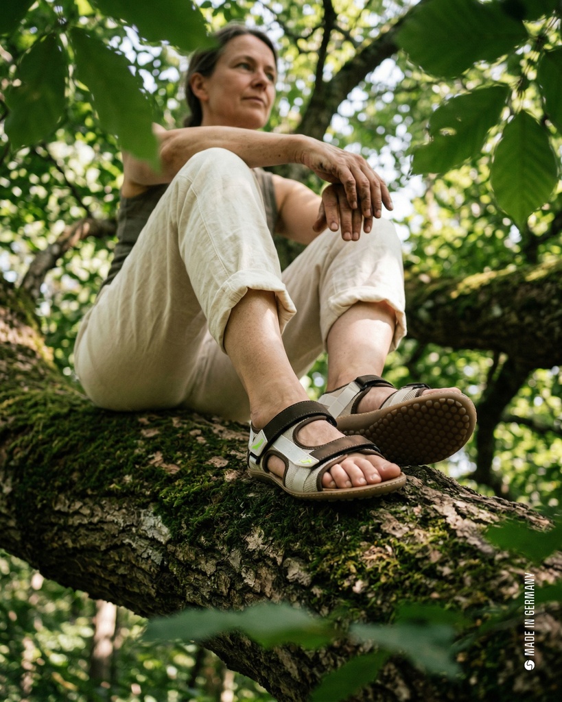 leguano_attrektive_nature