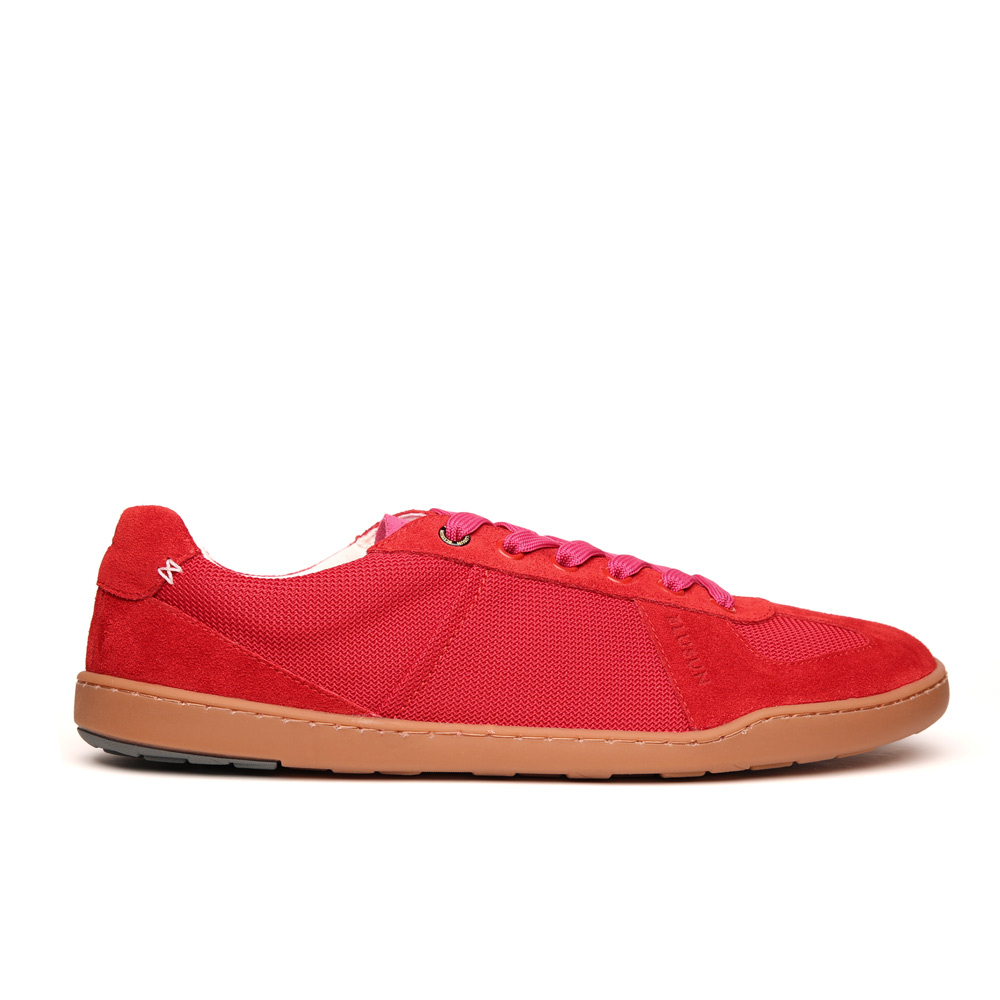 BLSN-204W red